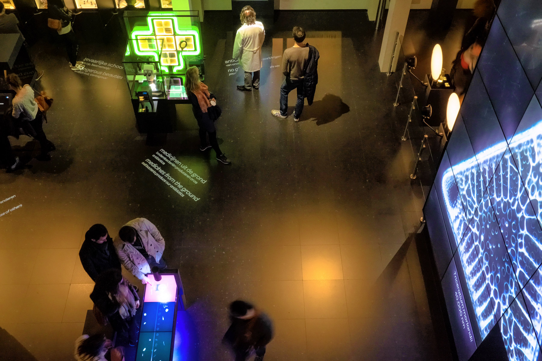 Artis Micropia during museum night