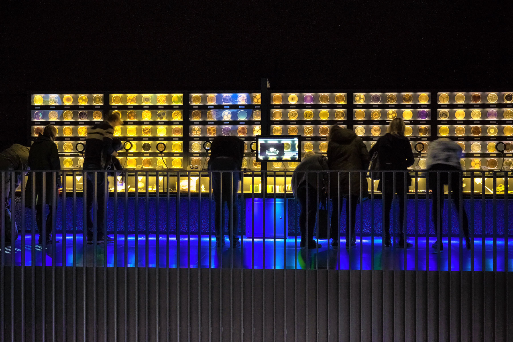 Artis Micropia during museum night