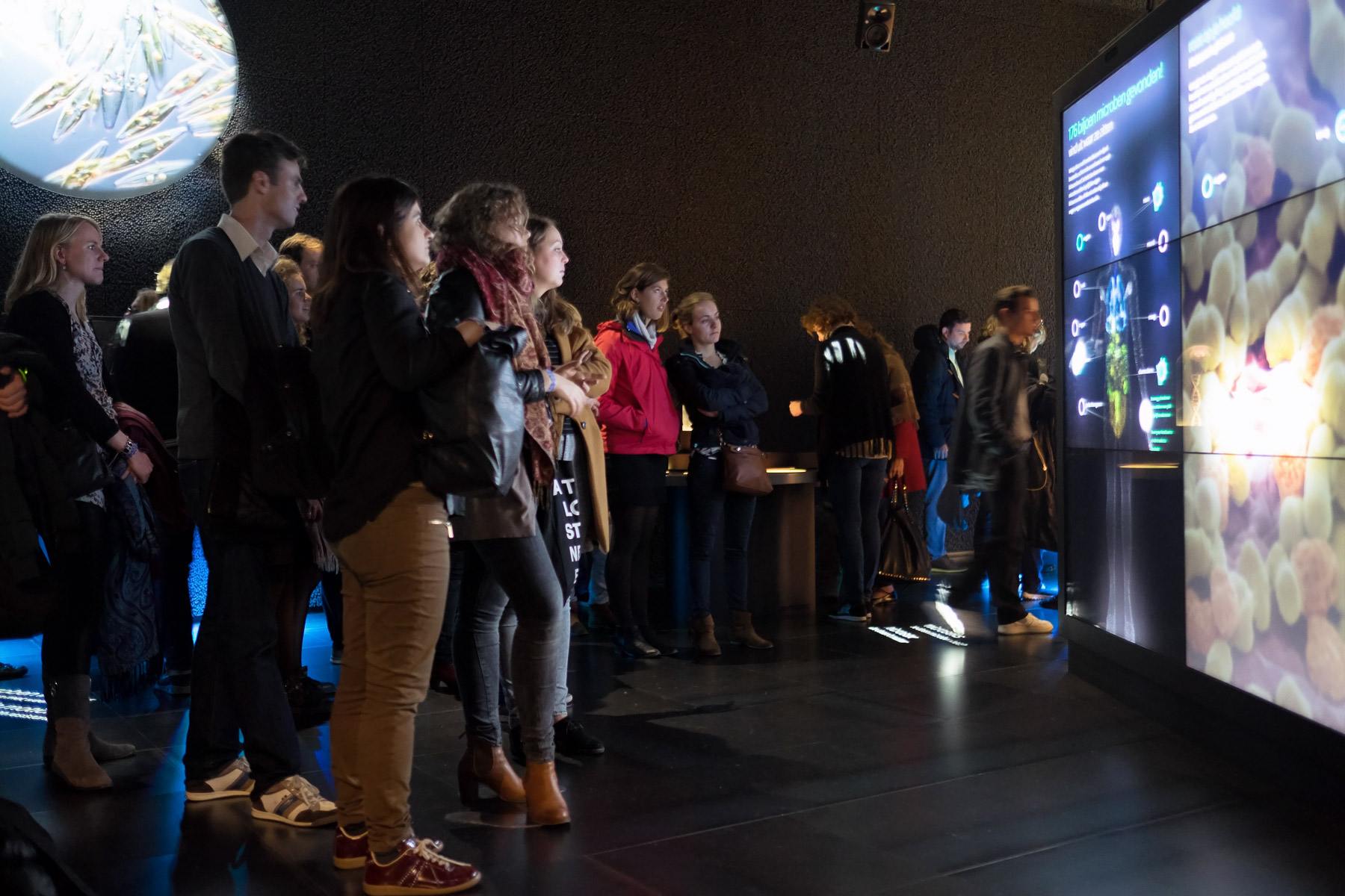 Artis Micropia during museum night