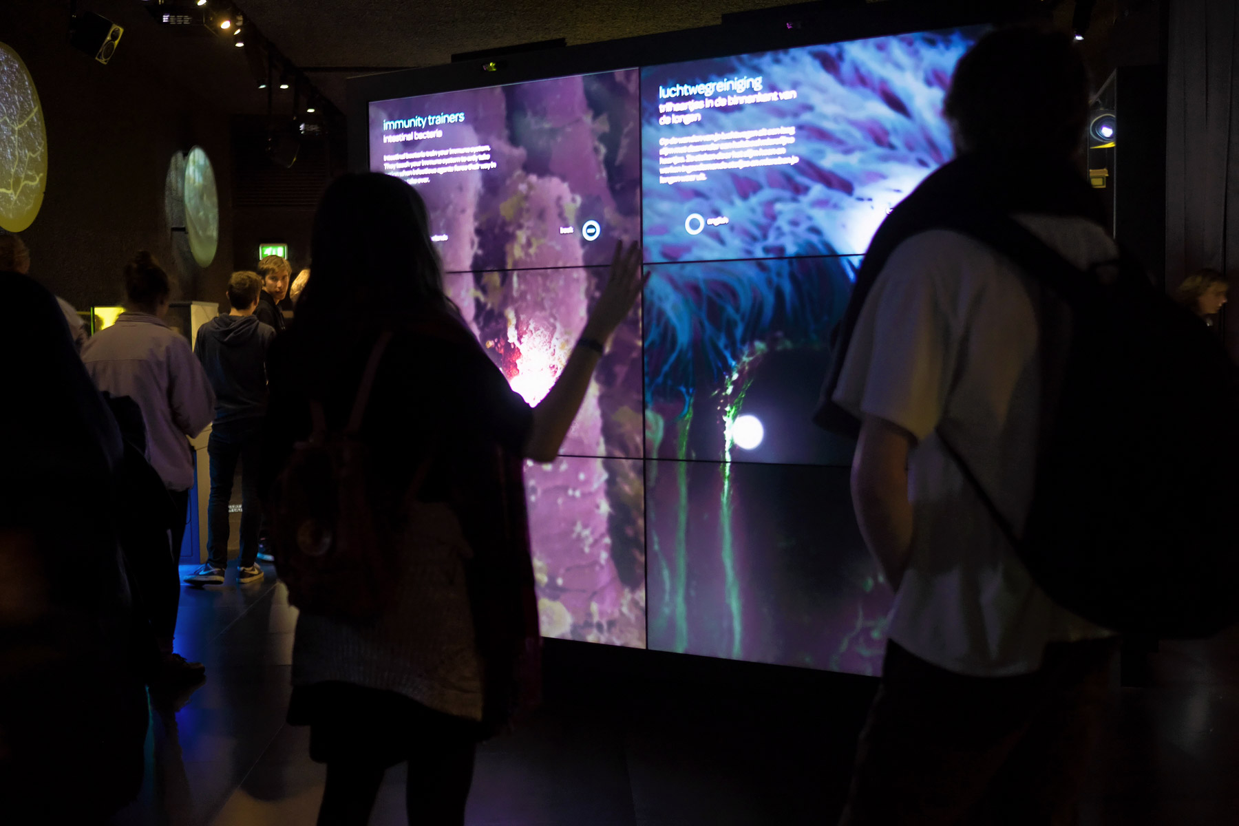 Artis Micropia during museum night